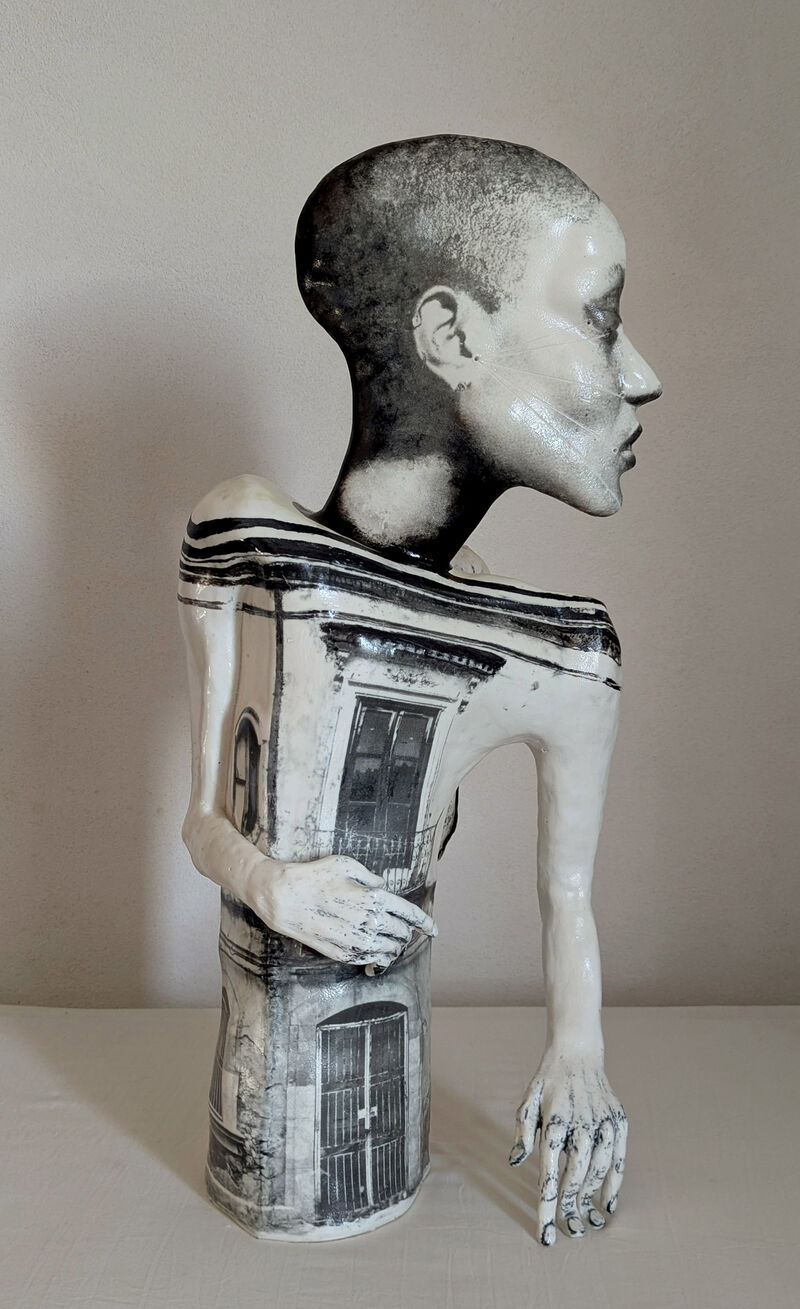 Bot or Not - a Sculpture & Installation by Alison Shanks